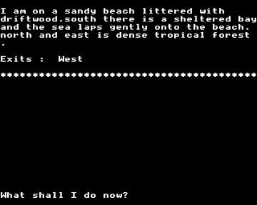 Fire Island (198x)(Holl-Soft) screen shot game playing
